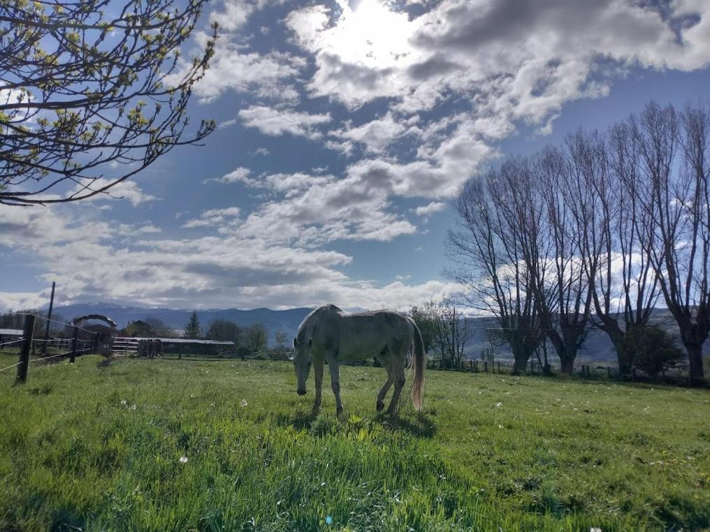 Ca L'Andreu Villa Ventola Bagian luar foto