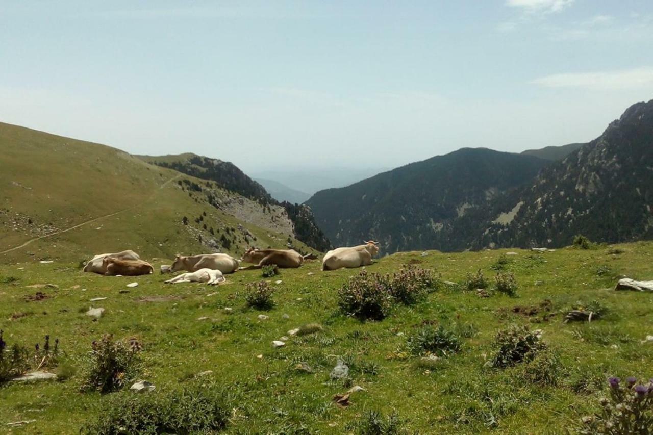 Ca L'Andreu Villa Ventola Bagian luar foto
