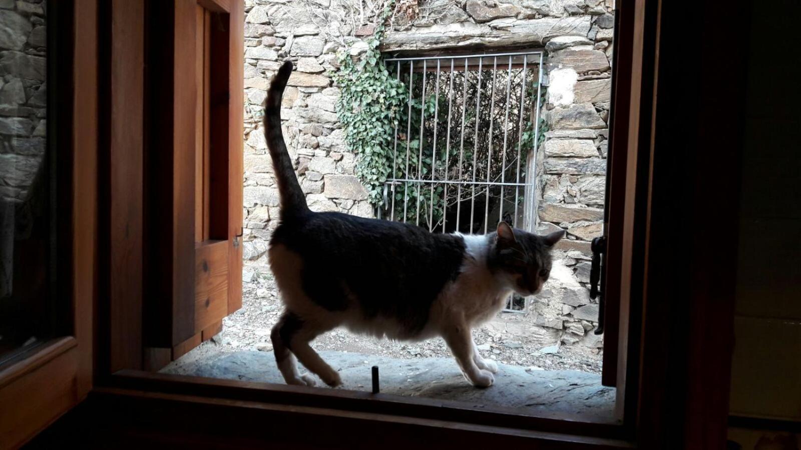 Ca L'Andreu Villa Ventola Bagian luar foto